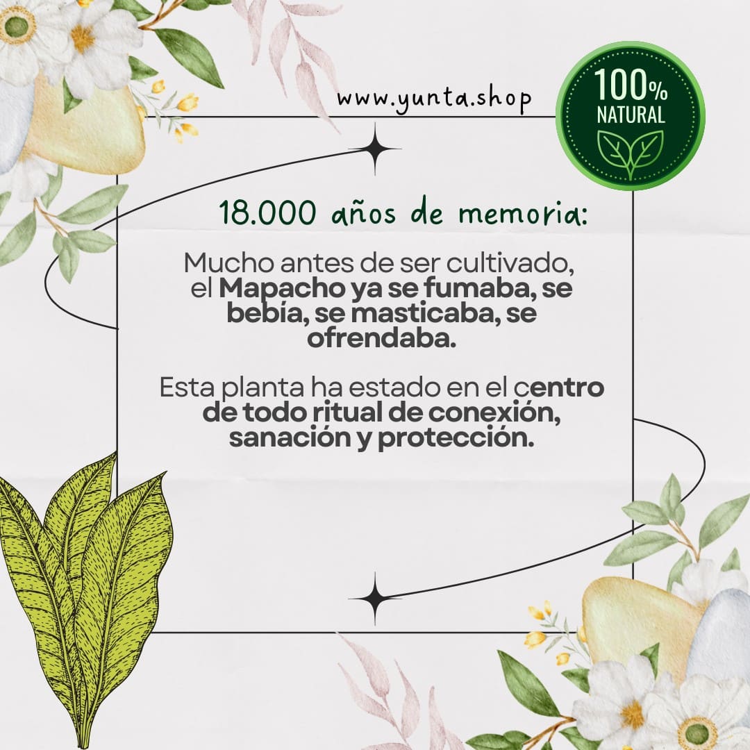 Tabaco Mapacho Yunta